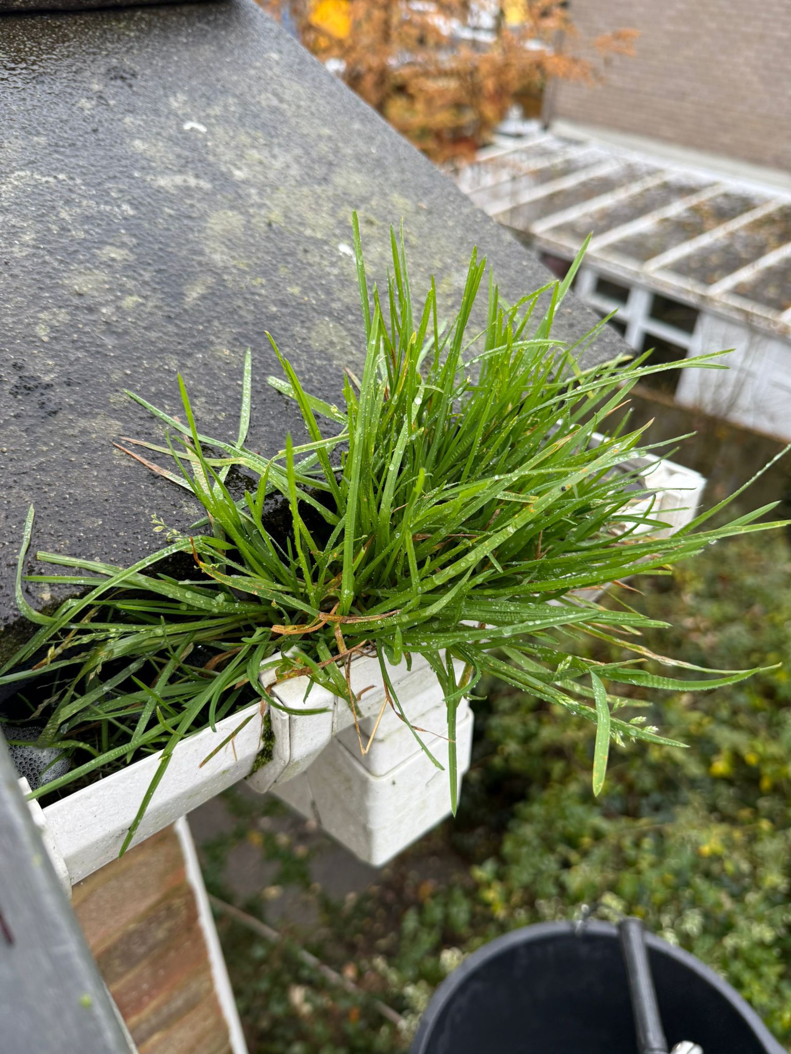 Blocked gutter downpipe in Farnborough